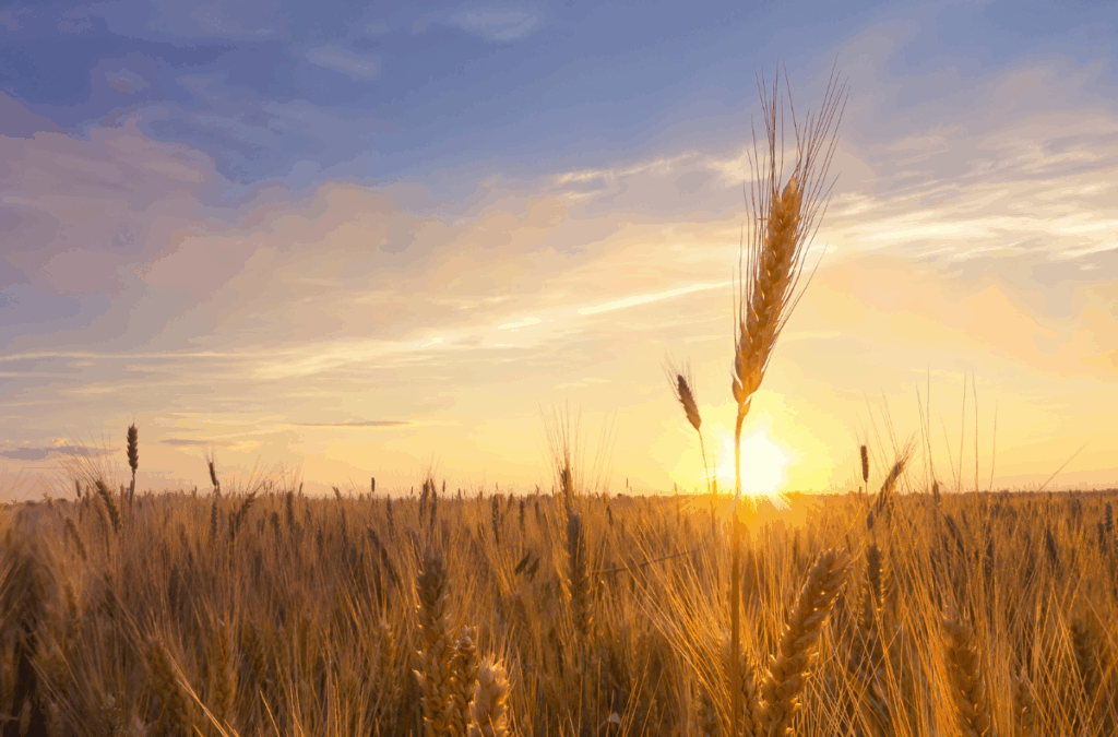Hobby Farm Living: Financing Your Dream with Supreme Lending