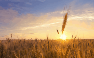 Hobby Farm Living: Financing Your Dream with Supreme Lending